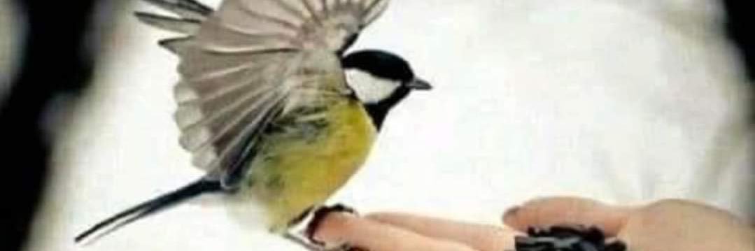 BaharMarat's profile banner image