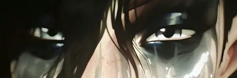 meri misses vi banner