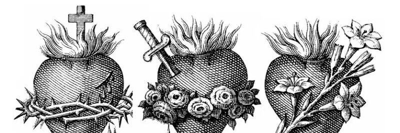 Fatme009__'s profile banner image
