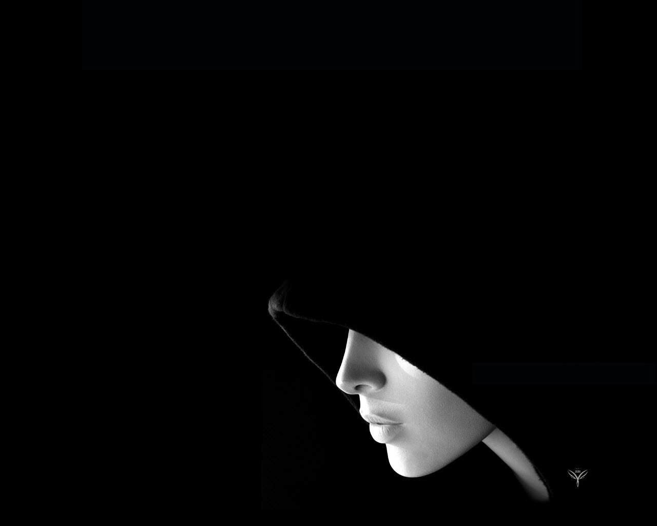 lady_Shandora's profile banner image
