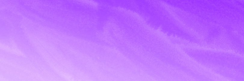 紫蘭(プロフィール少し変えました) banner