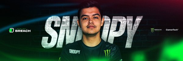 Snzopy Profile Banner
