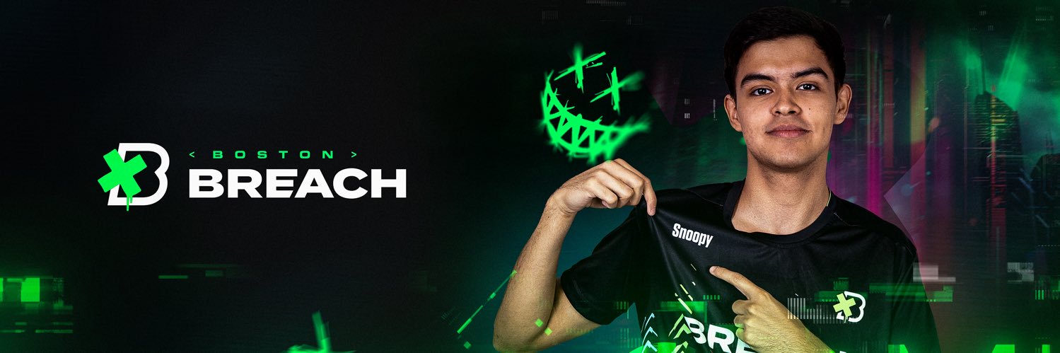 Breach Snoopy banner