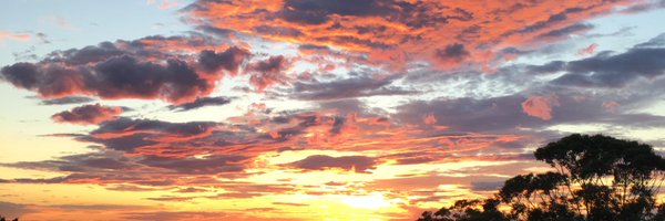 PeterStubbsPT Profile Banner