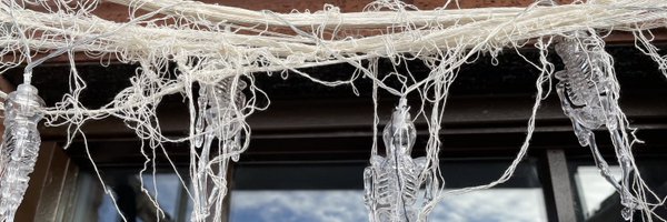 chicgibson Profile Banner