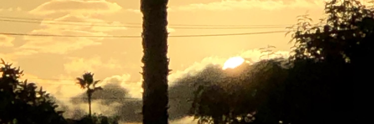 dvdfwy's profile banner image