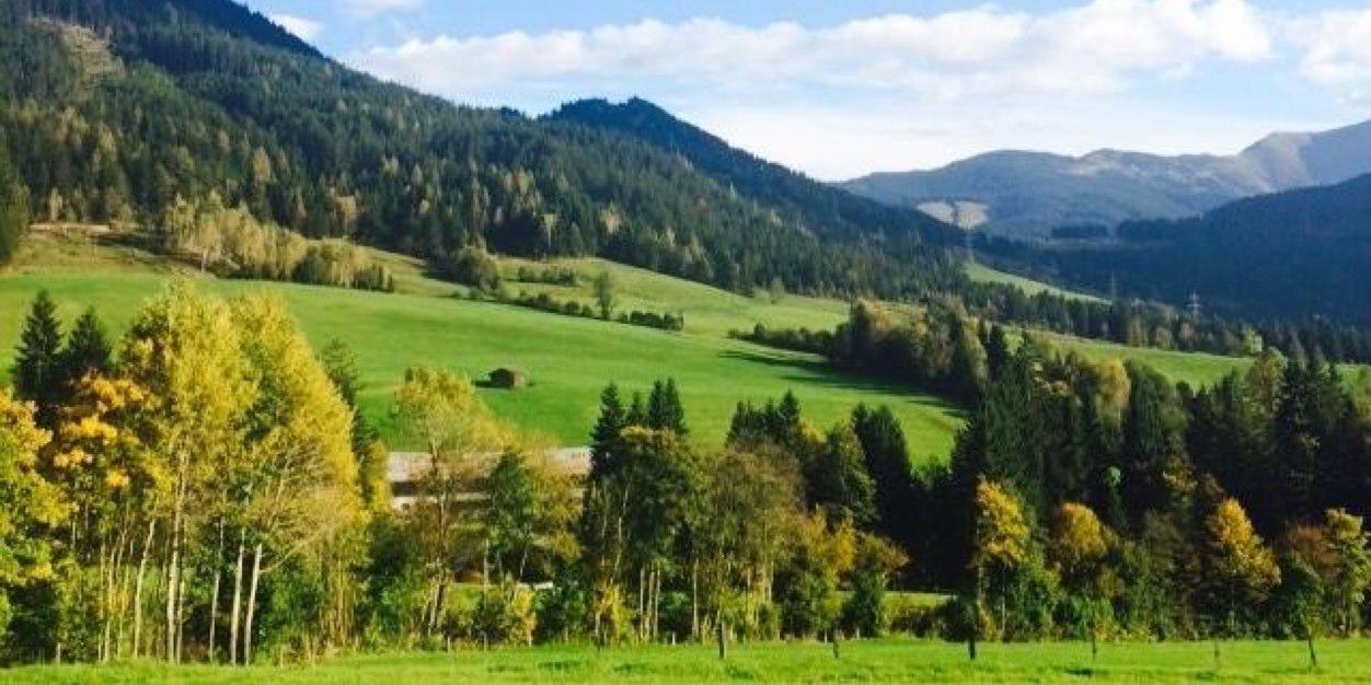 الليل الصامت banner