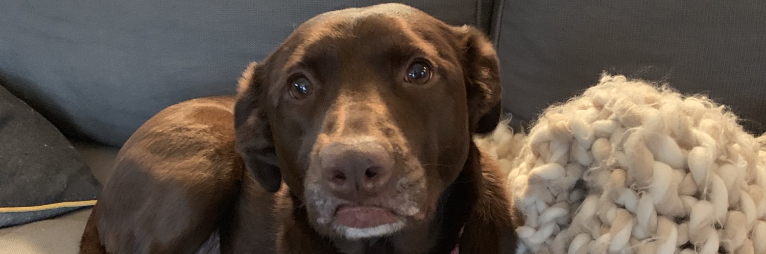 paytsomerville's profile banner image