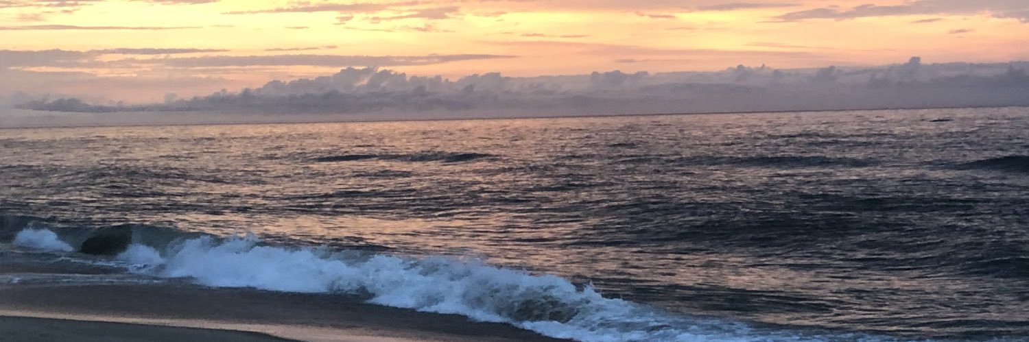 Sara Schymick banner