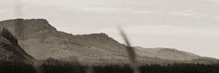 CDN VIDEY CO 2 banner