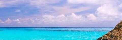 Sw33tPoison's profile banner image