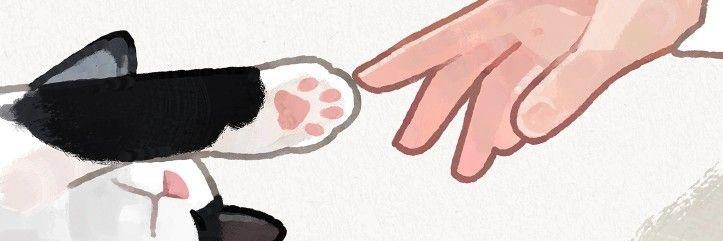 saaamsr's profile banner image