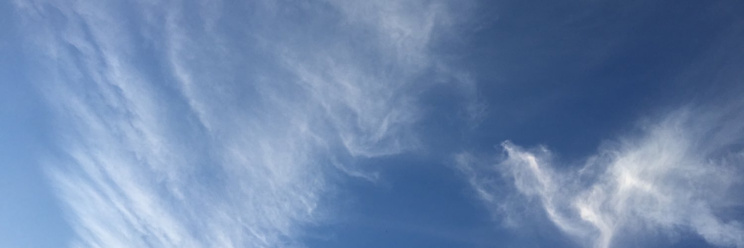 ToruMuseic's profile banner image
