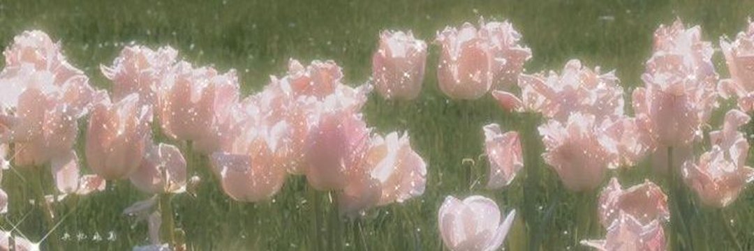 nurrata's profile banner image