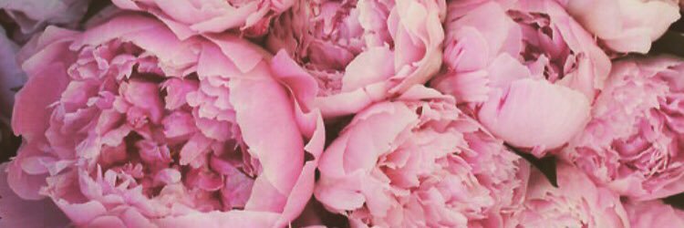 Corinne Cox banner