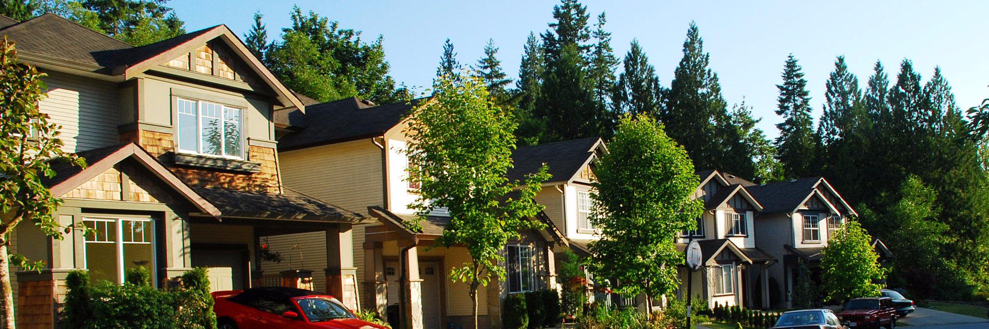 İzzet Eroğlu banner