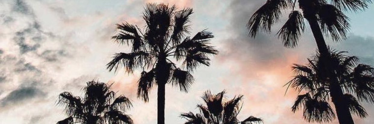 willlopesjr's profile banner image