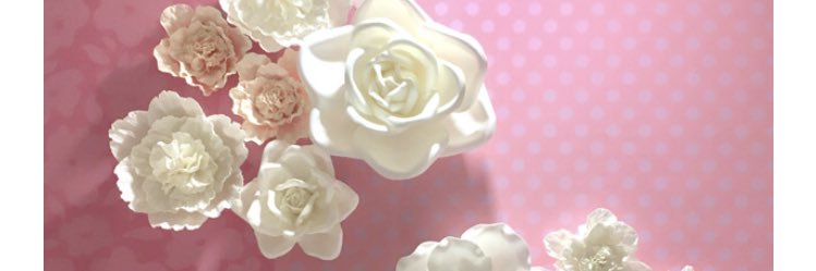 meru100's profile banner image