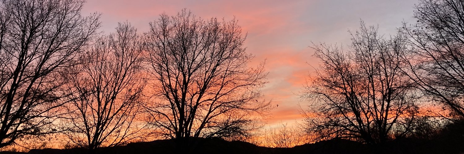 Judit Solanas banner