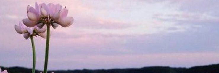 3_1398's profile banner image