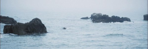 sirajbaig11 Profile Banner