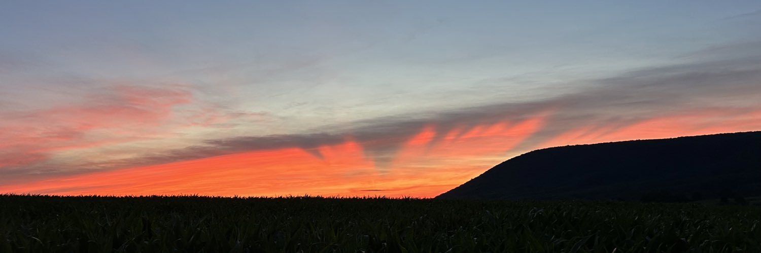 Missy Doherty banner