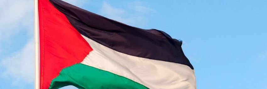 yousef in Gaza 🇵🇸's banner