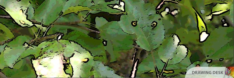 Catimero's profile banner image