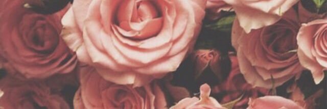 StacyLeg's profile banner image