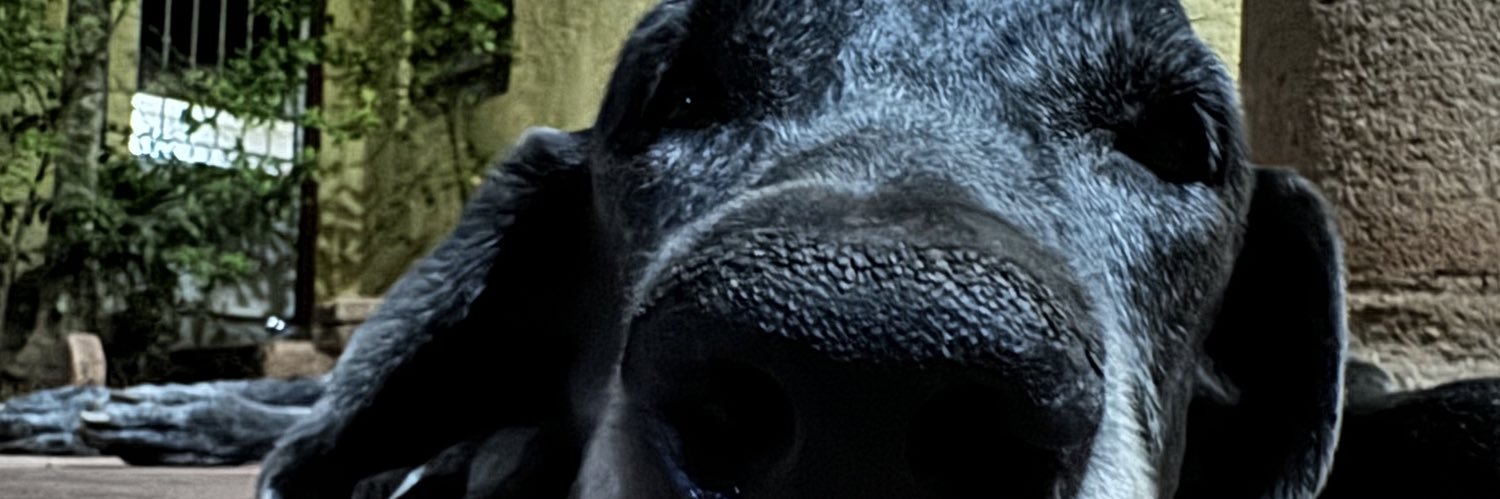 FrancoChimalc's profile banner image