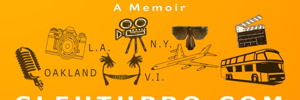 SleuthPro Profile Banner