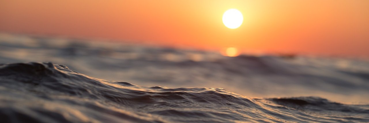 André Carvalho banner