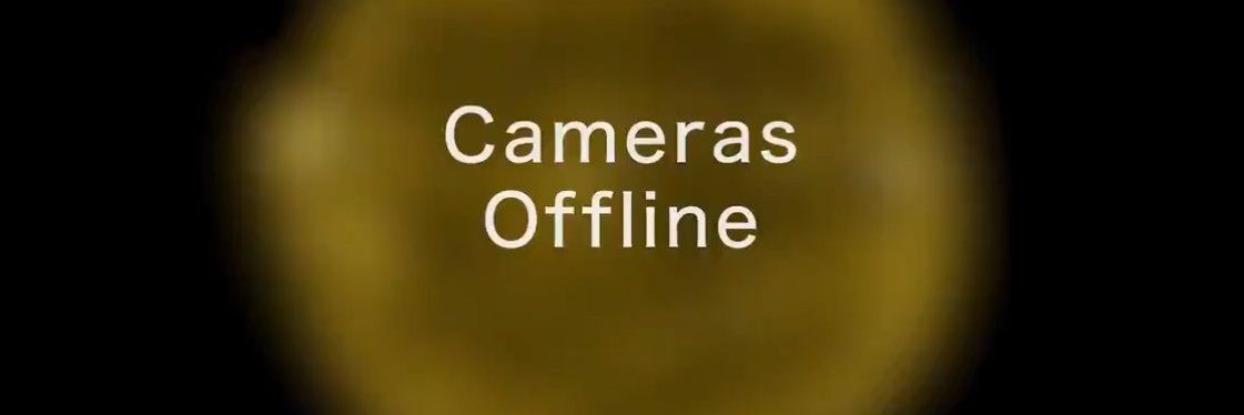 Sam Pellegrino 🍋 banner