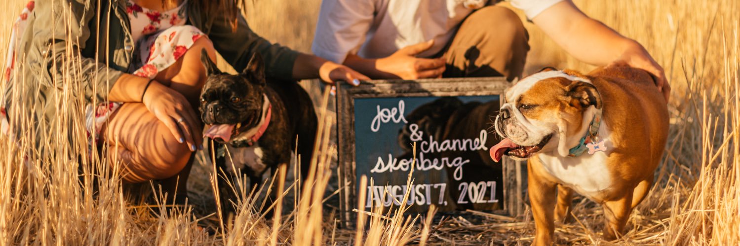 chanchansko's profile banner image