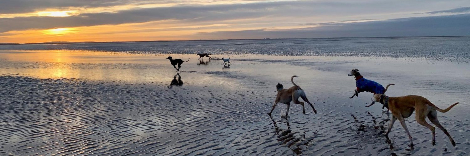 Alice Goodman banner