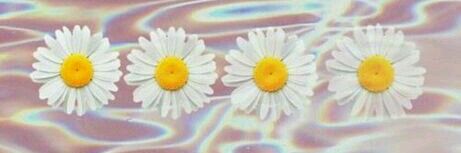 iose87coconut's profile banner image