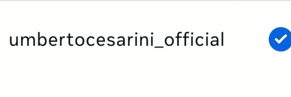 cesariniumberto Profile Banner