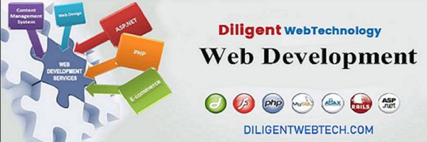 diligentwebtech Profile Banner