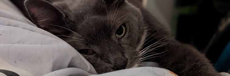 akatschels's profile banner image