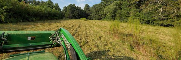 MaggieMaps Profile Banner