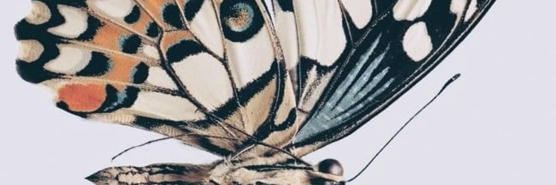 haileyhasgotyou's profile banner image