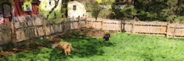 patrickave Profile Banner