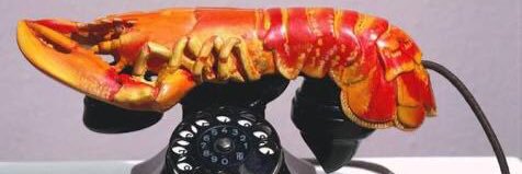 太ったロブスター🍤 banner