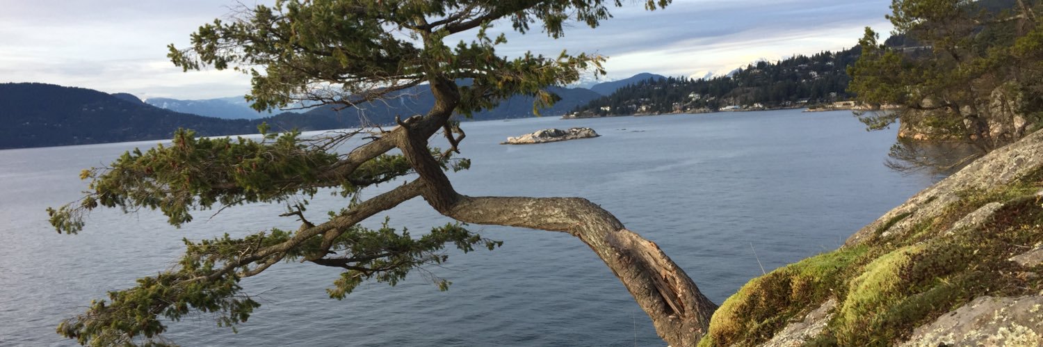 R King 🇨🇦 banner