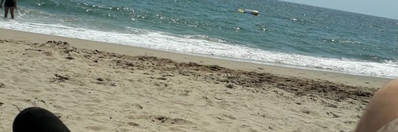 Alejandro Rodriguez banner