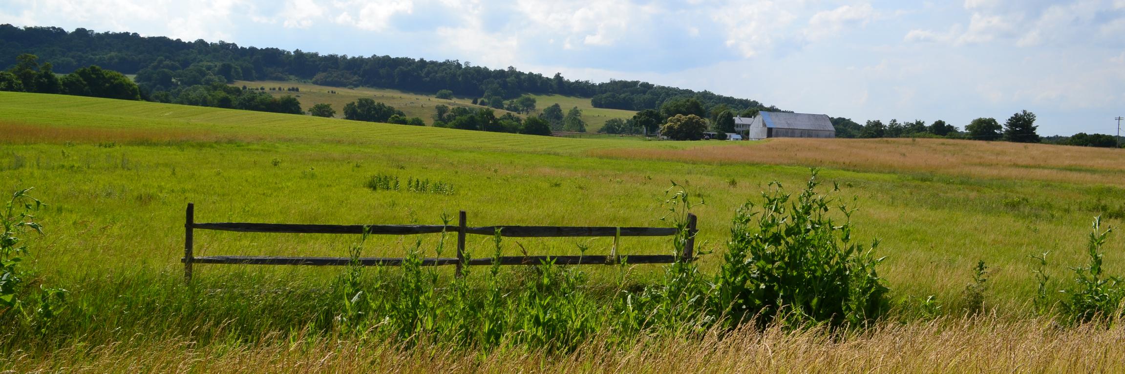 Archive: Rep. John Delaney banner