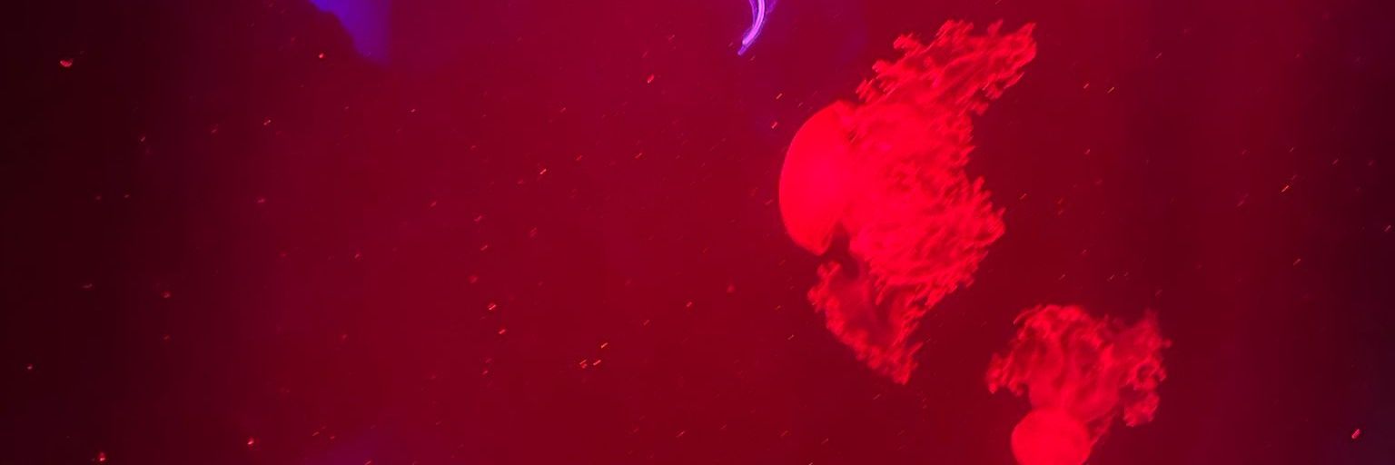 FurtherKnowledge - yep. banner