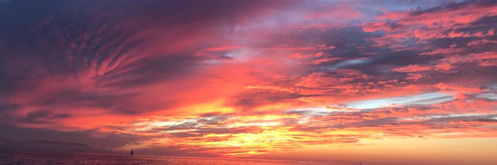 Claudia Arellano banner