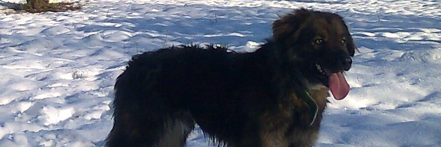 ManuelMateos_3's profile banner image