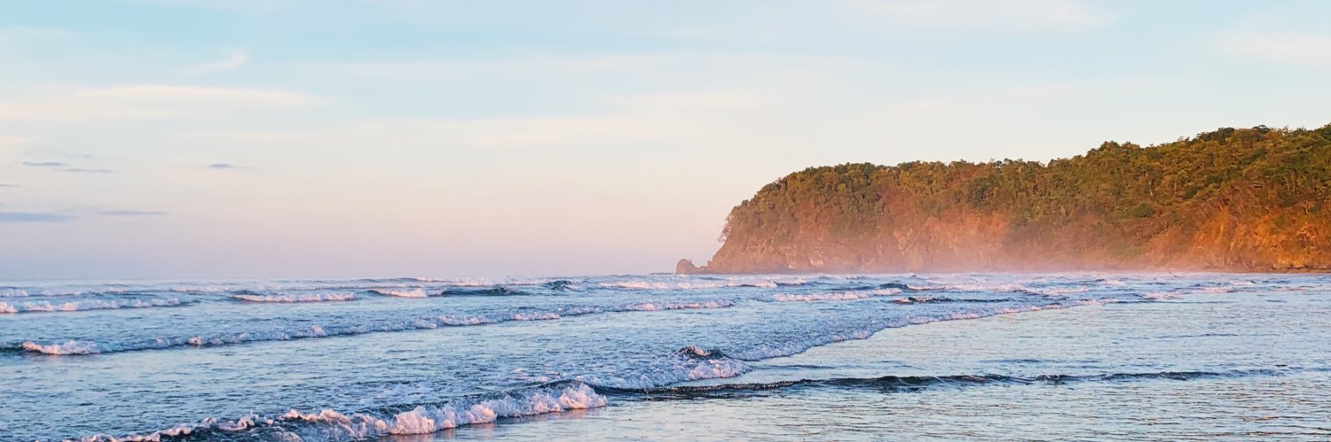 Pauli🌊 banner